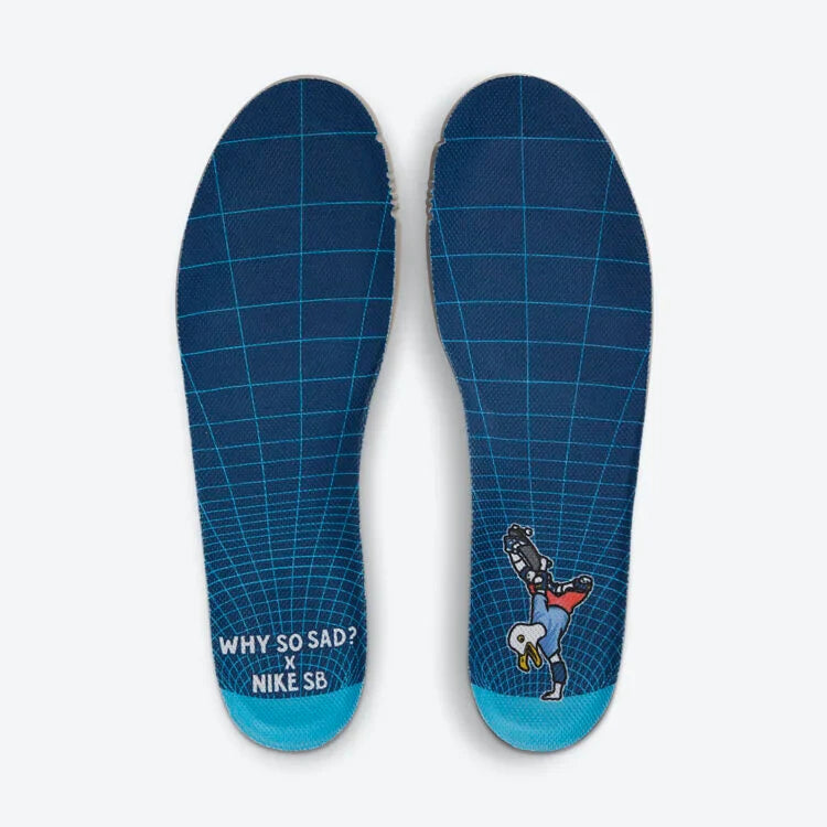 NIKE SB DUNK LOW PRO WHY SO SAD?